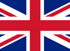 Ӣ������